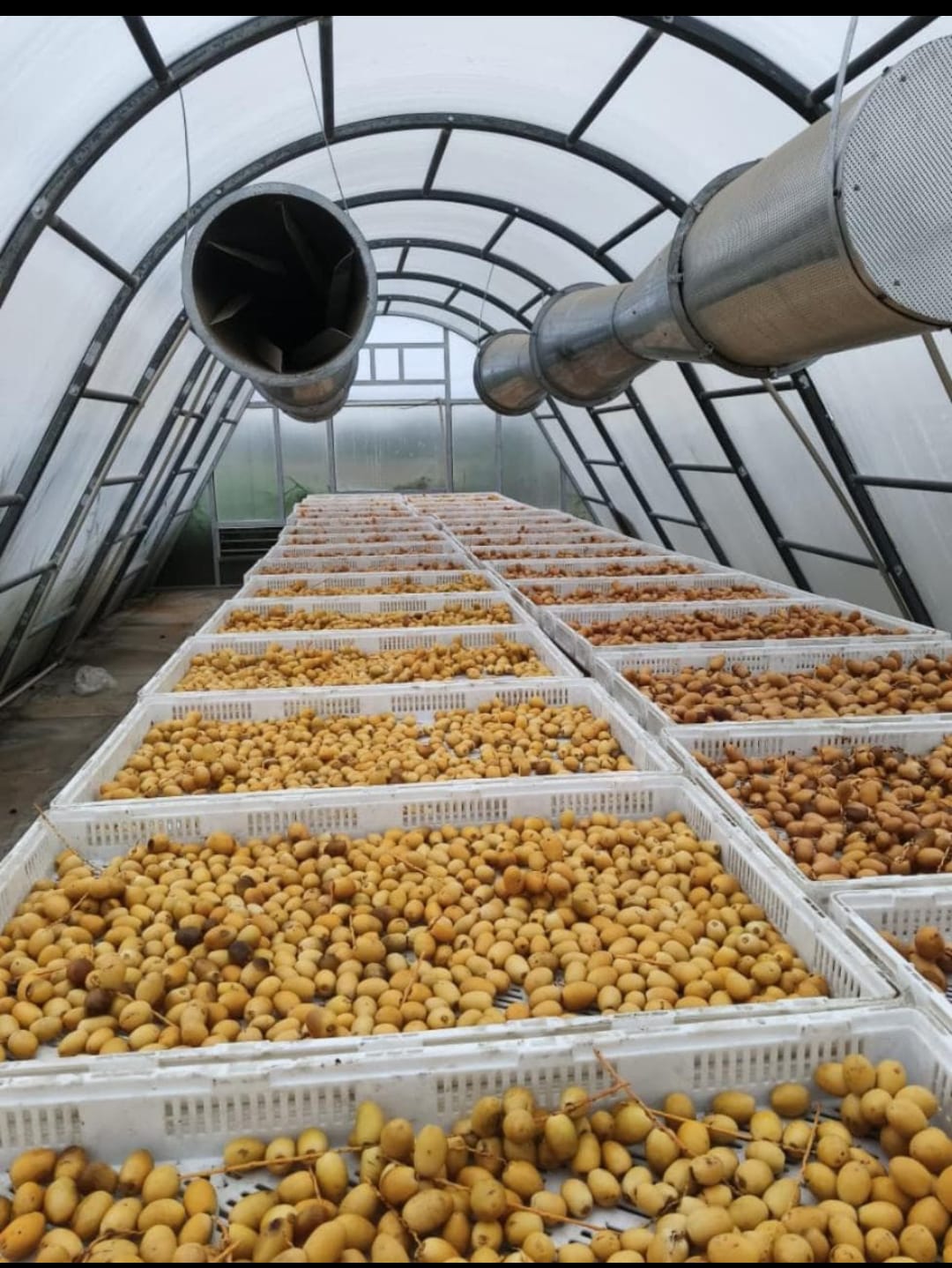 Modern Agriculture